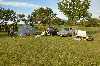Photo 06