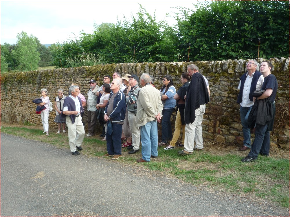 Photo 34.JPG